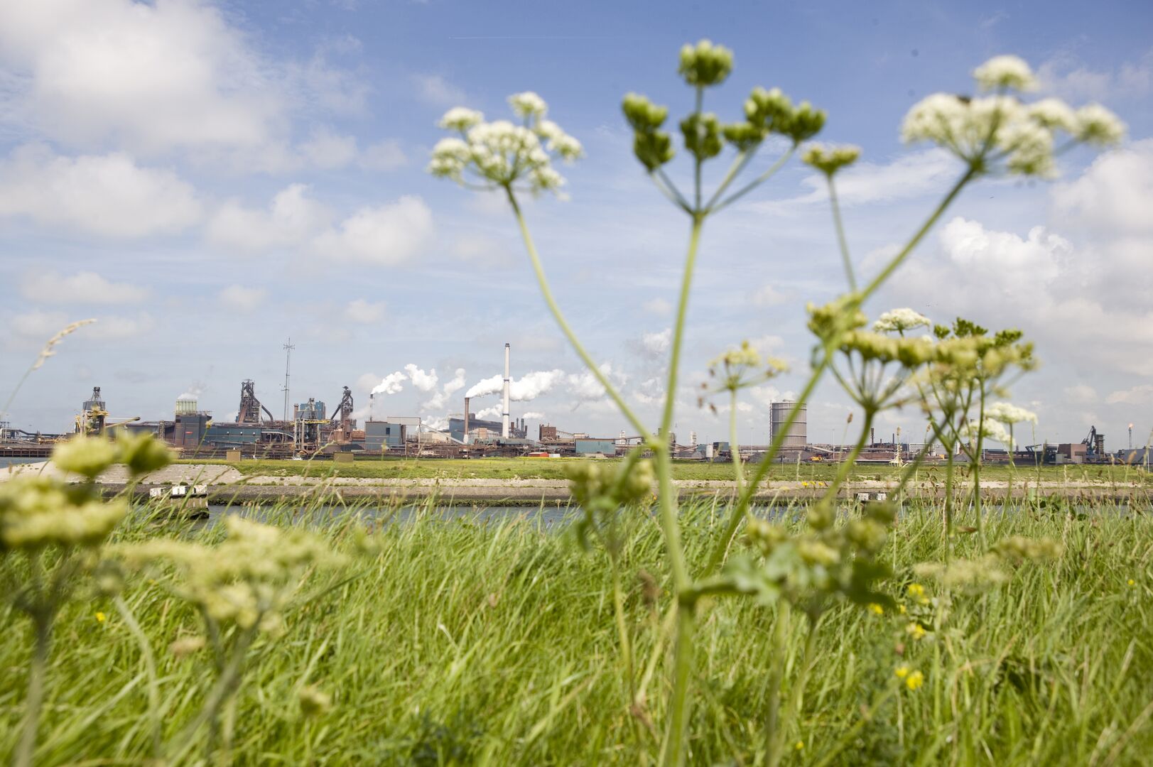 Skyline en natuur