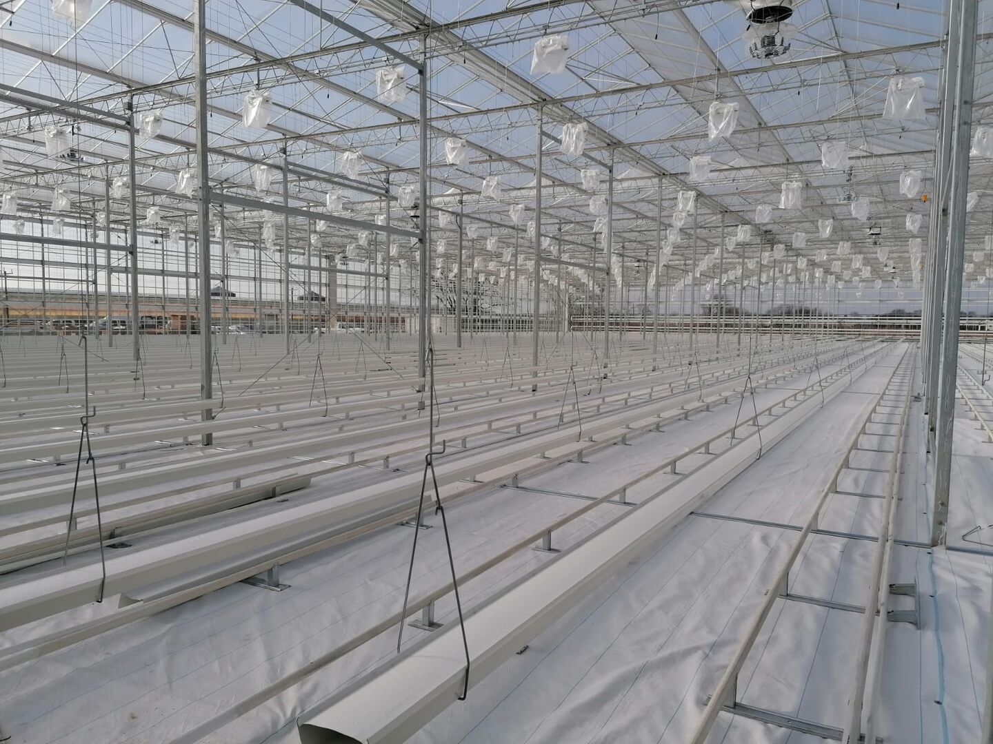 Colors - Advantica Horti Control Colors - Advantica Horti Control