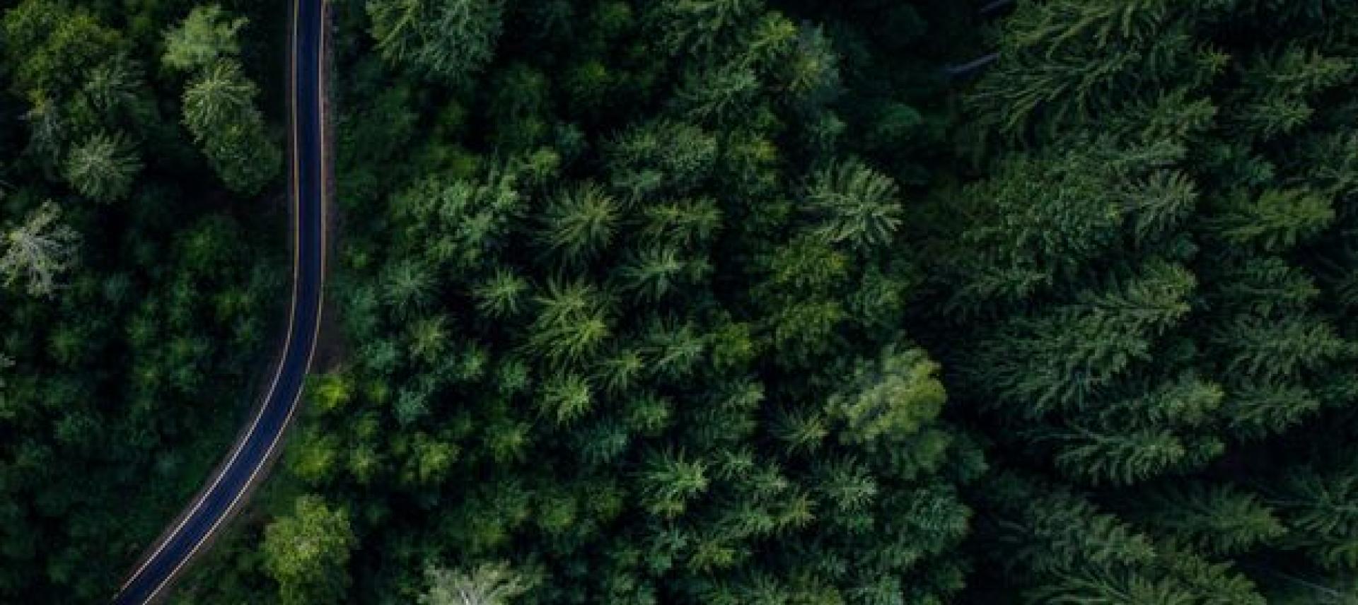 Sustainability-Zeremis-Zeremis Image 01